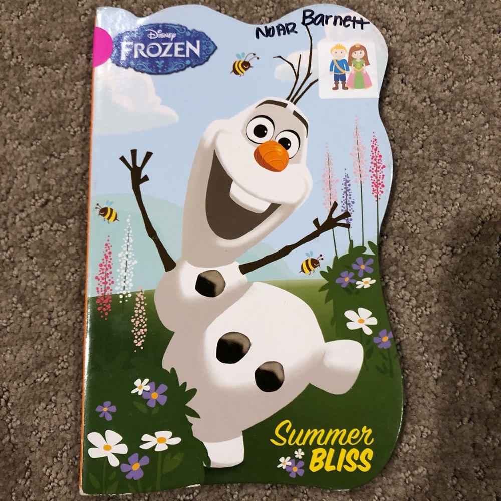 📚5 for $15 Disney Frozen Hardcover Book " Summer Bliss"